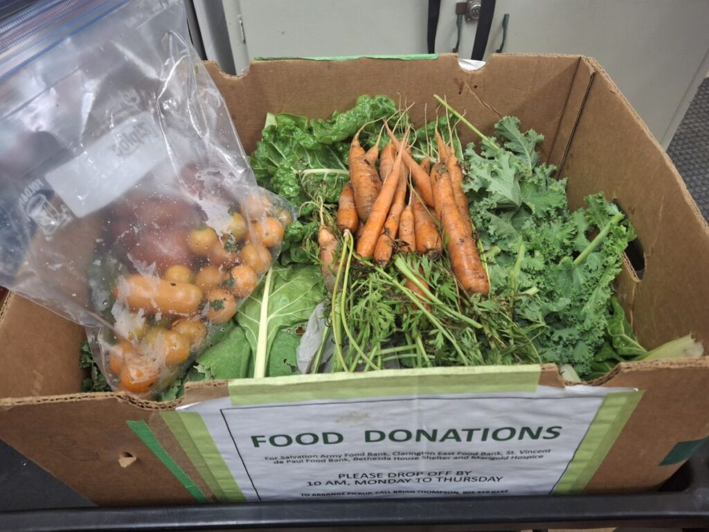 A box of fresh produce straight from Wilmot Creek Gardens.