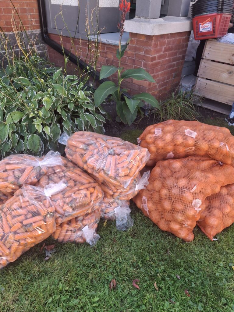 A harvest worth celebrating